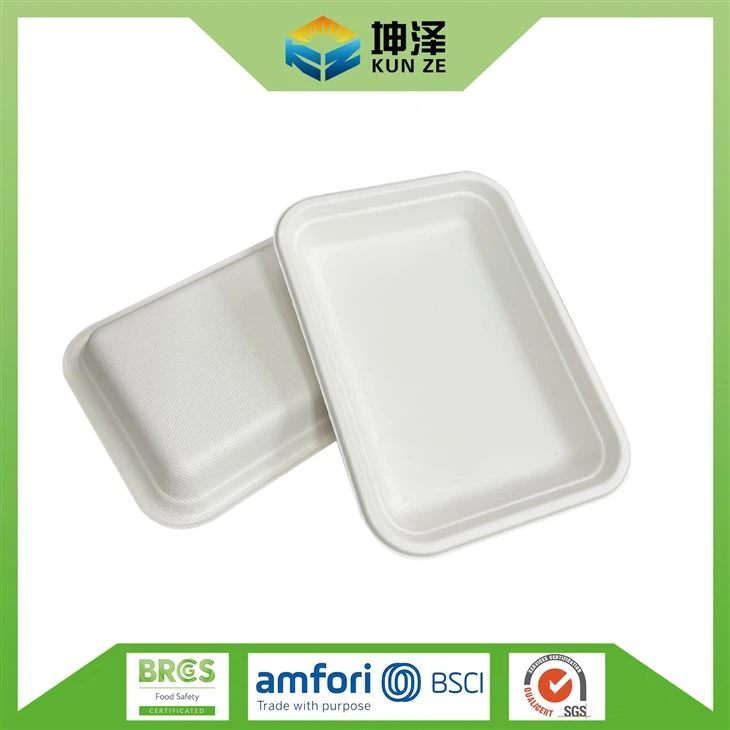Best Compostable Plates