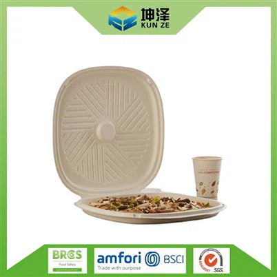 Коробка для піци Bagasse