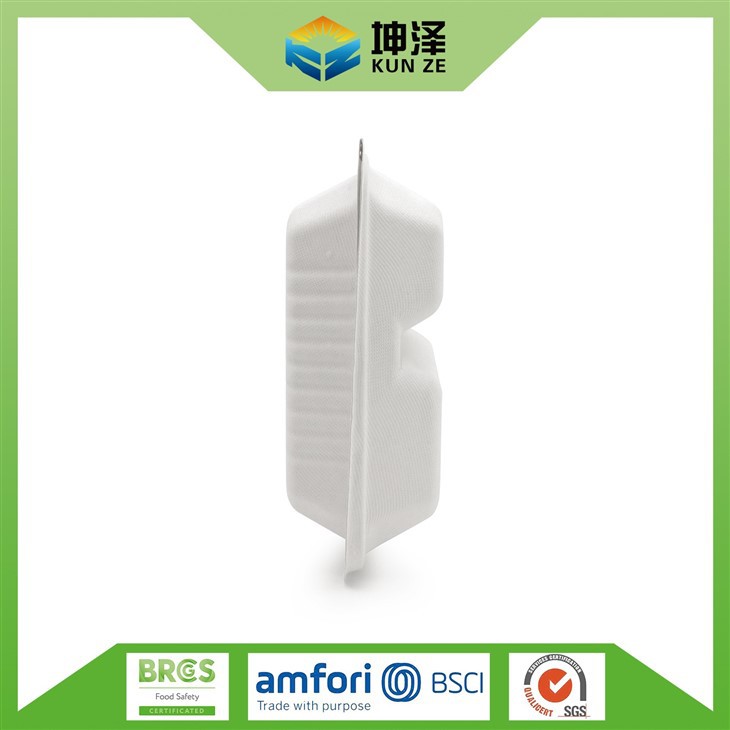 Sugarcane Pulp Tableware