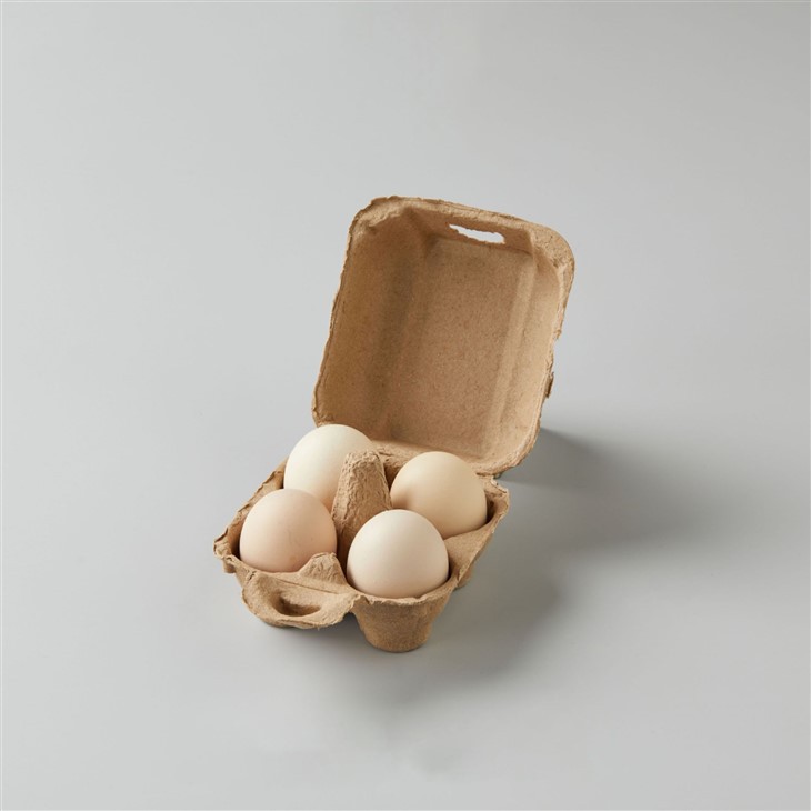 Egg Container Box best