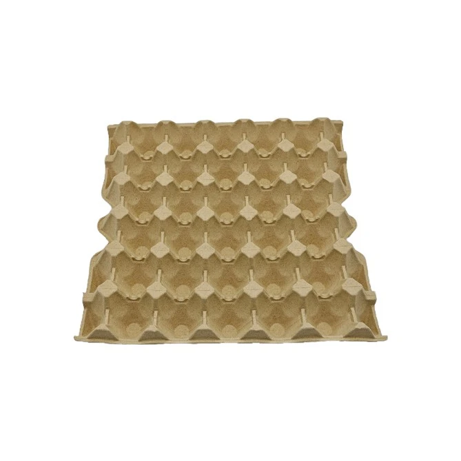 Paper Egg Tray